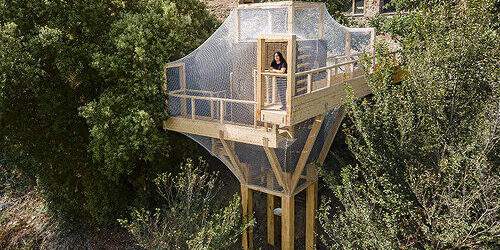 birdwatching-roundup-designboom-700-500×400-22b08q85r607