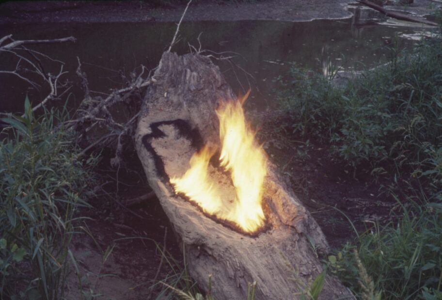 mendieta-7