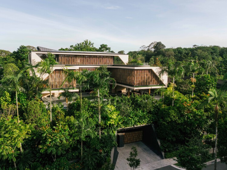 00_House_Above_The_Trees_Wallflower_Architects