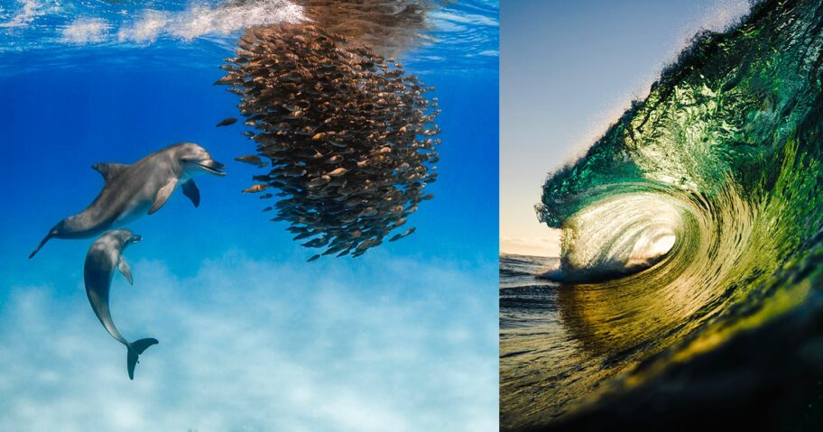 Underwater-Awards-Australasia