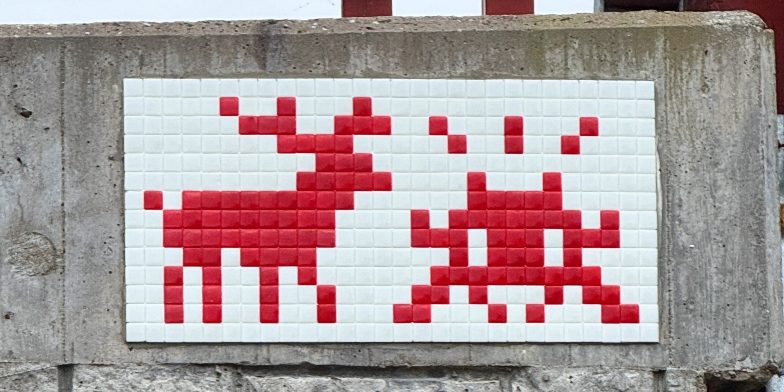 831103126_18637351276007096_2698036769754999324_n-scaled-1