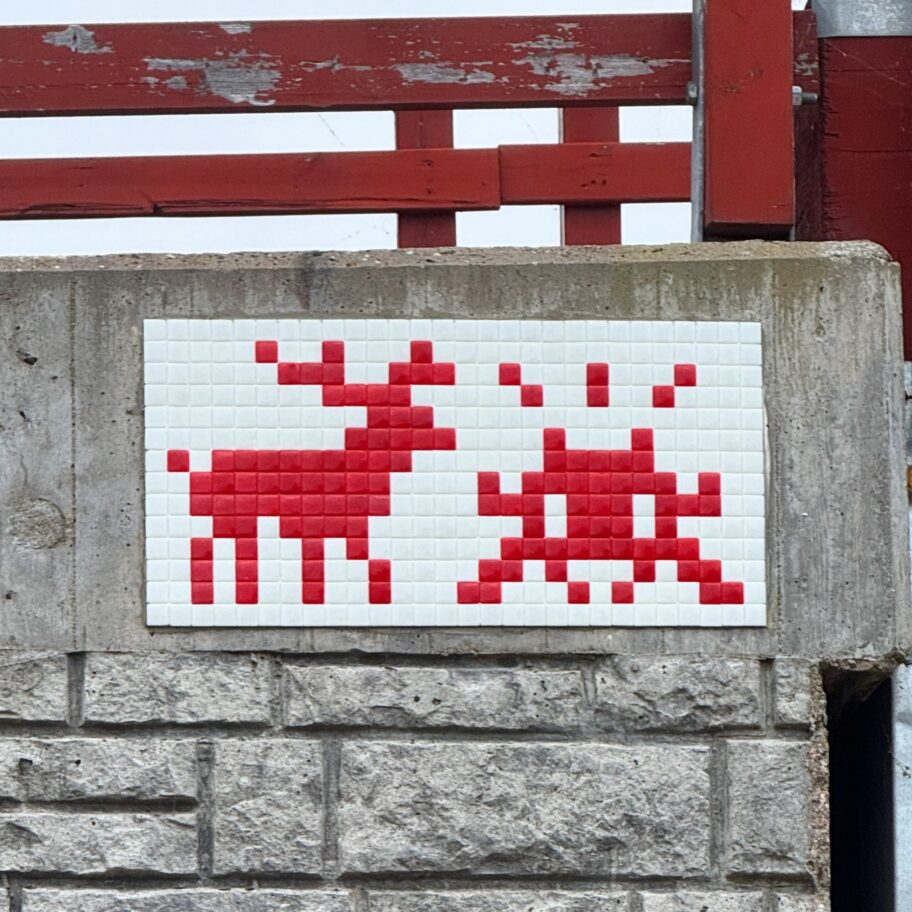 831103126_18637351276007096_2698036769754999324_n-scaled-1