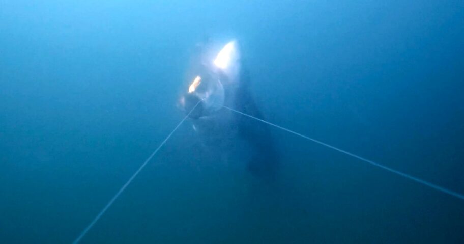 Great-White-Snatches-Fish-Off-Line